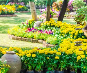 Landscaped flower garden with lots of colorful blooms.